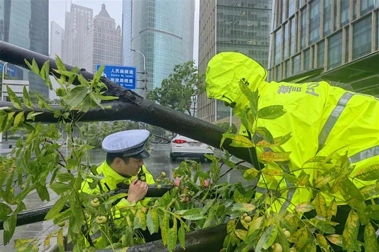 Bão Bebinca vượt qua bão Gloria, trở thành cơn bão mạnh nhất đổ bộ vào thành phố Thượng Hải của Trung Quốc kể từ năm 1949 (Ảnh: Shanghai Daily)
