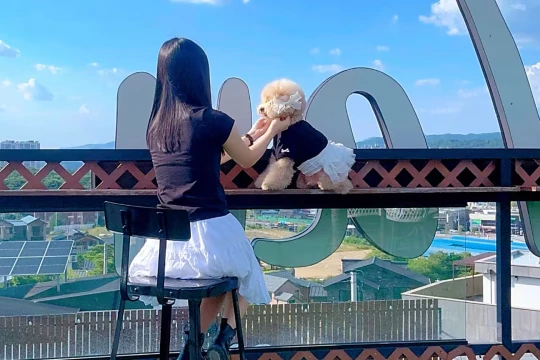 Tỷ lệ sinh Hàn Quốc giảm báo động (Ảnh: WSJ)