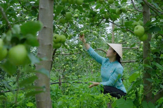 Làng quê Trung Quốc qua ống kính trở nên bình dị, thu hút nhiều người. (Ảnh: Instagram) 