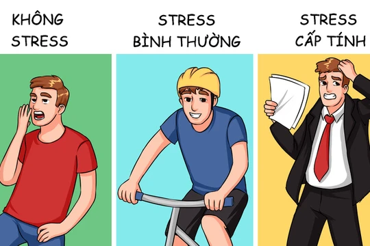 Các mức độ stress và ảnh hưởng của chúng tới cơ thể con người
