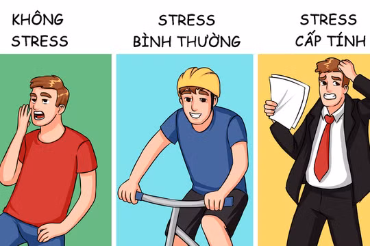 Các mức độ stress và ảnh hưởng của chúng tới cơ thể con người