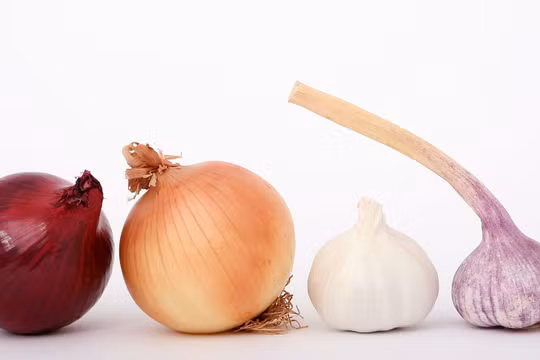 Hành và tỏi đã được chứng minh giúp chống lại ung thư vú hiệu quả.