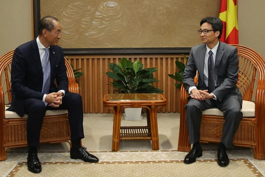 Ông Takeshi Kasai và Phó Thủ tướng Vũ Đức Đam (Ảnh: VGP)