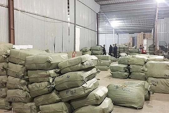 Một kho dược liệu bị cơ quan chức năng kiểm tra (Nguồn: Internet)