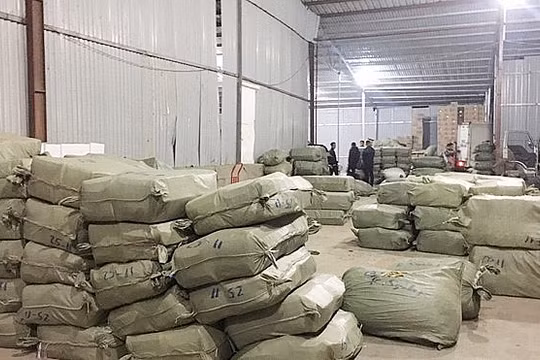 Một kho dược liệu bị cơ quan chức năng kiểm tra (Nguồn: Internet)