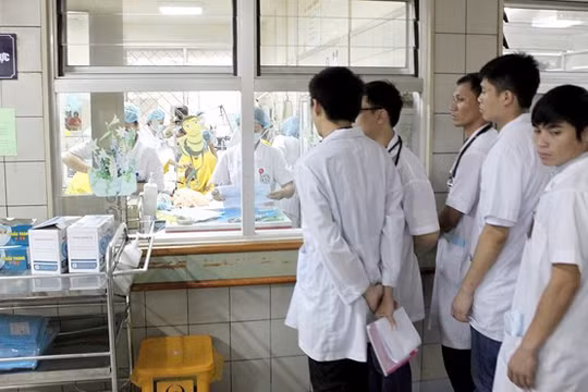 Sinh viên y khoa thực tập tại các bệnh viện