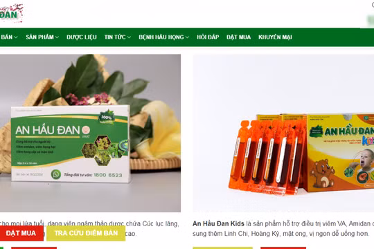 Trang web vi phạm quảng cáo 2 sản phẩm An Hầu Đan Kids và An Hầu Đan.