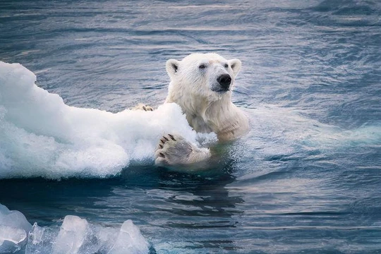 Hiện tượng băng tan do ảnh hưởng bởi biến đổi khí hậu. Ảnh: Zhihu