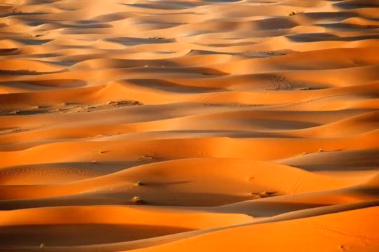 Sahara từng là thiên đường sự sống? Ảnh: Sohu