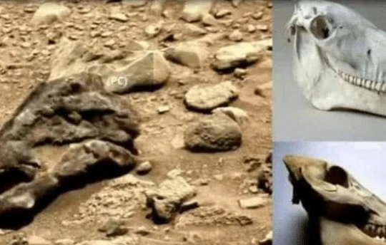 Dấu tích của khủng long được phát hiện trên sao Hỏa. Ảnh: Sohu