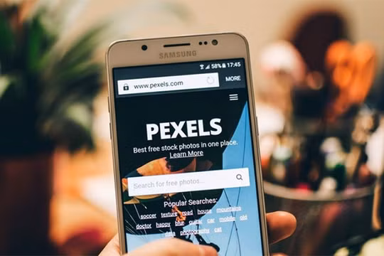 Ảnh minh họa (theo brightside)