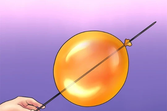 Ảnh minh họa (theo Brightside)