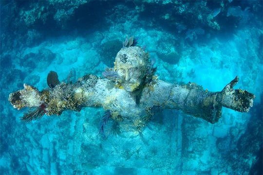 Ảnh minh họa (theo Brightside)