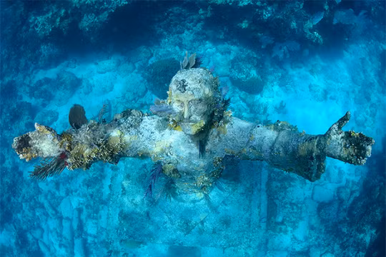 Ảnh minh họa (theo Brightside)