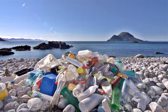 Ảnh minh họa (Ảnh: Futurism)