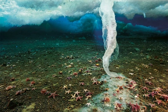 Ảnh minh họa (theo Brightside)