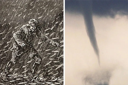 Ảnh minh họa (theo Brightside)