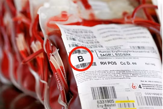 Ảnh minh họa (theo Brightside)