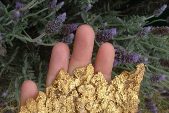 Ảnh minh họa (theo Brightside)