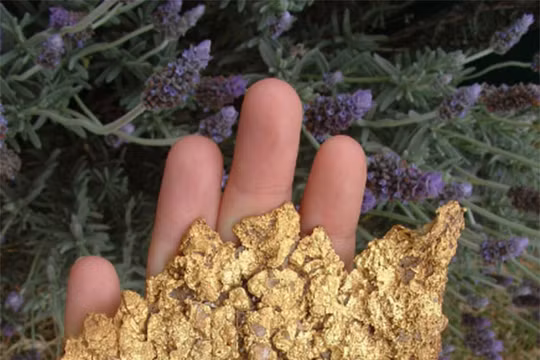 Ảnh minh họa (theo Brightside)