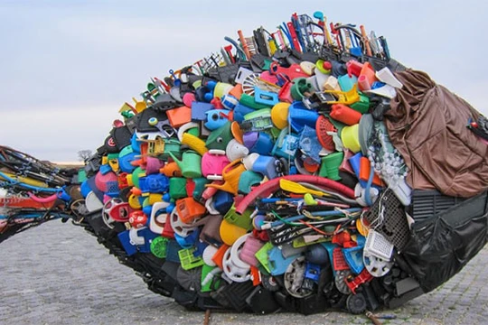 Ảnh minh họa (ảnh: Our World)