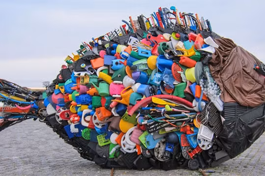 Ảnh minh họa (ảnh: Our World)