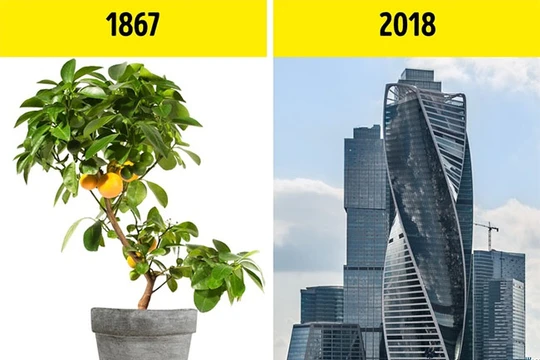 Ảnh minh họa (theo Brightside)