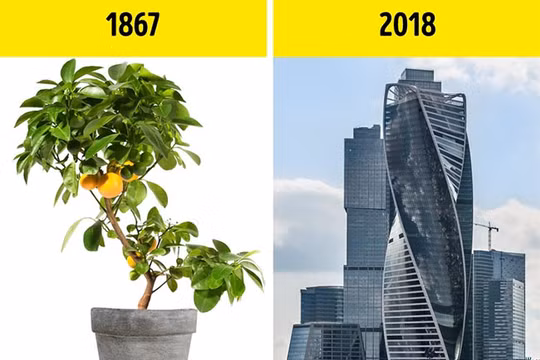 Ảnh minh họa (theo Brightside)