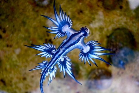 Ảnh minh họa (theo Brightside)