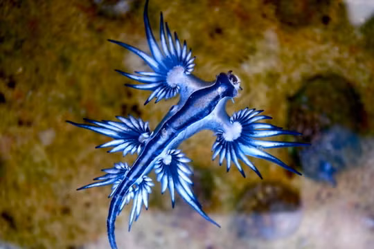 Ảnh minh họa (theo Brightside)