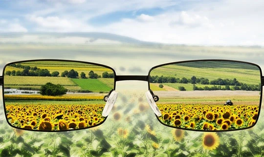 Ảnh minh họa (theo Brightside)