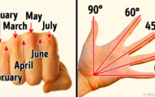 Ảnh minh họa (theo Bright side)