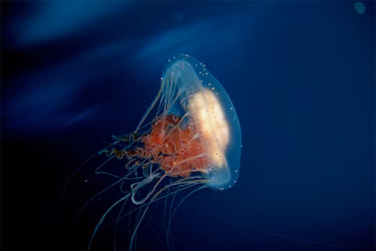 Ảnh minh họa (theo Brightside)