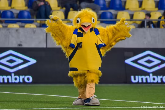 Sau vòng 16, giải vô địch quốc gia Bỉ CLB Sint-Truiden tạm thời đứng thứ 11. Ảnh CLB