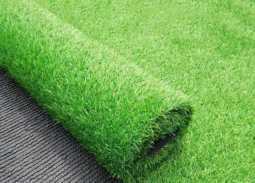 “Đây là thông tin gây sốc và VFF cùng ông Park sẽ buộc phải tính toán lại kế hoạch tập luyện cho đội Việt Nam". Ảnh VietTimes.