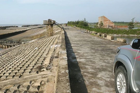 Ảnh minh họa/ Nguồn: Báo Đấu thầu