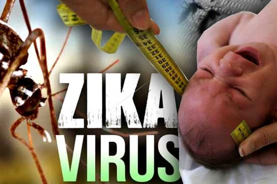 Tốc độ lây nhiễm vi rút Zika tại TP HCM cao.