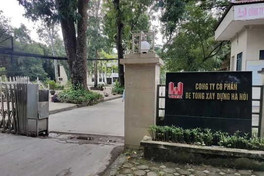 Đại diện Vibex khẳng định website vibex.vn không phải của Công ty CP Bê tông Xây dựng Hà Nội, và những thông tin trên website này là giả mạo.