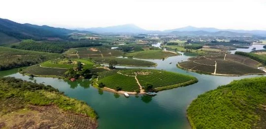 Cienco 4 là chủ đầu tư dự án Cienco 4, khu du lịch hỗn hợp và nghỉ dưỡng Cầu Cau, UBND huyện Thanh Chương, UBND tỉnh Nghệ An.