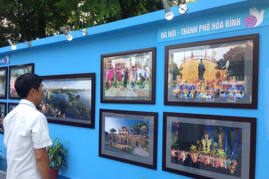 100 bức tranh, ảnh được trưng bày tại triển lãm.