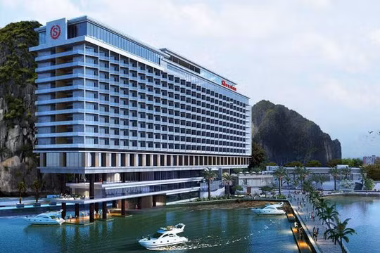 Phối cảnh tổng thể Khách sạn Sheraton Hạ Long Bay và dịch vụ cao cấp.