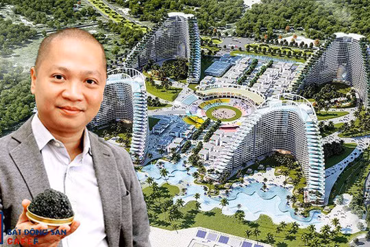 Công ty TNHH Đầu tư Phát triển LNP có thể được xem như một thành viên trong "hệ sinh thái" doanh nghiệp của ông Đức "Cá tầm".