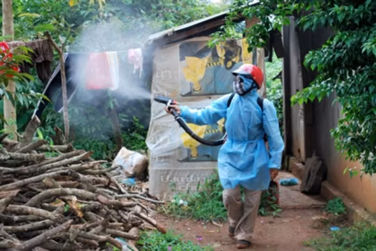 Số ca nhiễm vi rút Zika liên tục gia tăng tại TP HCM