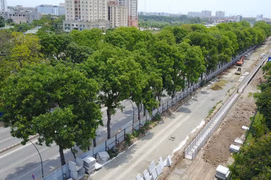 Việc chặt hạ hơn 1.000 cây xanh mới chỉ là đề xuất của Ban Quản lý đầu tư xây dựng các công trình giao thông Hà Nội.