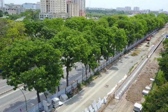 Việc chặt hạ hơn 1.000 cây xanh mới chỉ là đề xuất của Ban Quản lý đầu tư xây dựng các công trình giao thông Hà Nội.