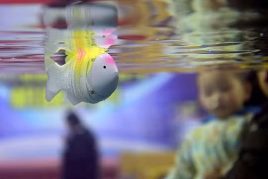 Ảnh minh họa. (Nguồn: chinadaily.com)