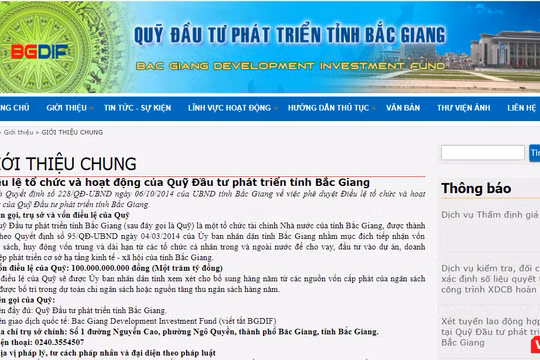 Quỹ đầu tư phát triển tỉnh Bắc Giang được thành lập năm 2014, trực thuộc tỉnh Bắc Giang.