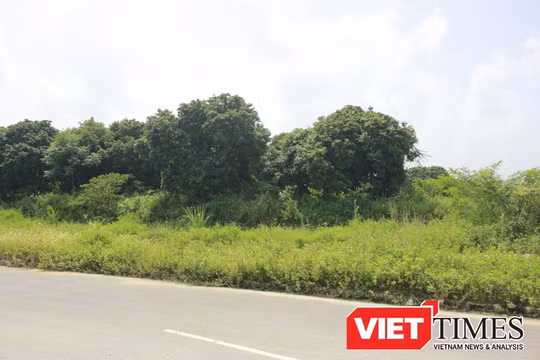 Các bộ, ngành, địa phương cùng tập trung triển khai Luật Quy hoạch - Ảnh minh họa.