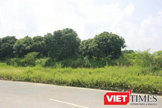 Các bộ, ngành, địa phương cùng tập trung triển khai Luật Quy hoạch - Ảnh minh họa.