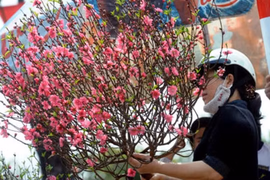 Ảnh minh họa, nguồn internet